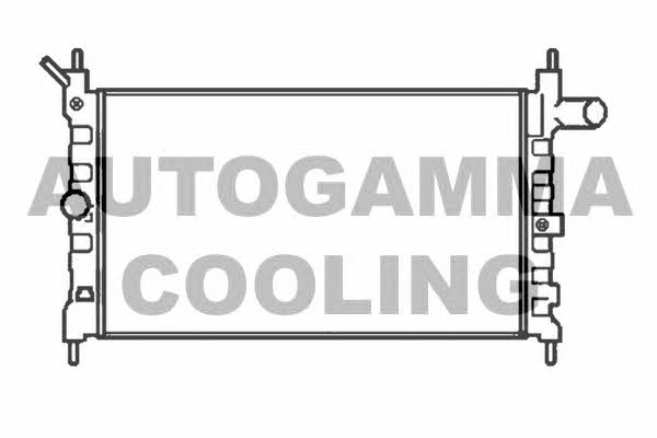 Autogamma 104116 Радиатор охлаждения двигателя 104116: Отличная цена - Купить в Польше на 2407.PL!