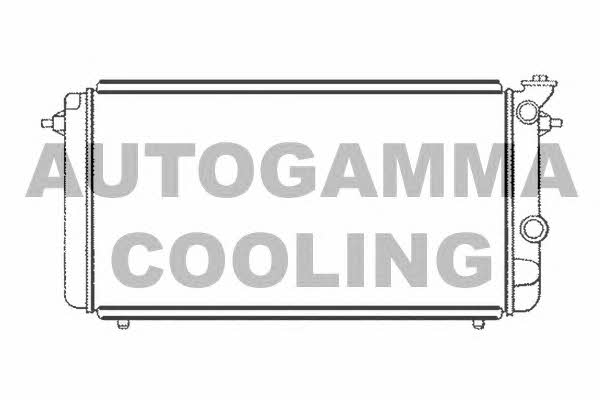Autogamma 104123 Radiator, engine cooling 104123: Buy near me in Poland at 2407.PL - Good price!