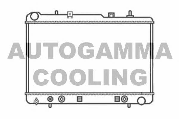 Autogamma 104131 Радіатор охолодження двигуна 104131: Приваблива ціна - Купити у Польщі на 2407.PL!
