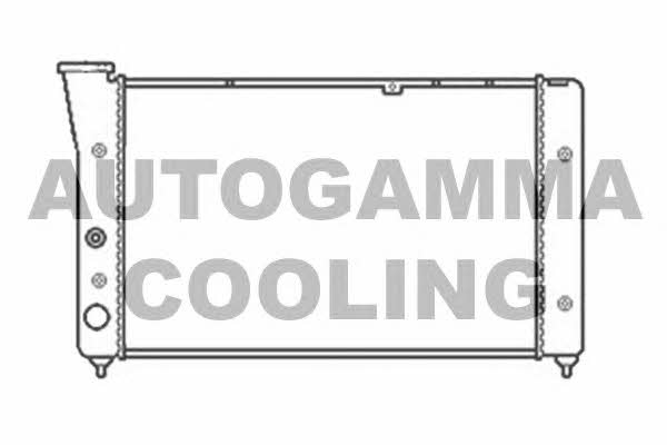 Autogamma 104135 Radiator, engine cooling 104135: Buy near me in Poland at 2407.PL - Good price!