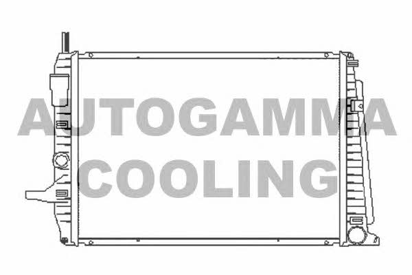 Autogamma 104137 Radiator, engine cooling 104137: Buy near me in Poland at 2407.PL - Good price!