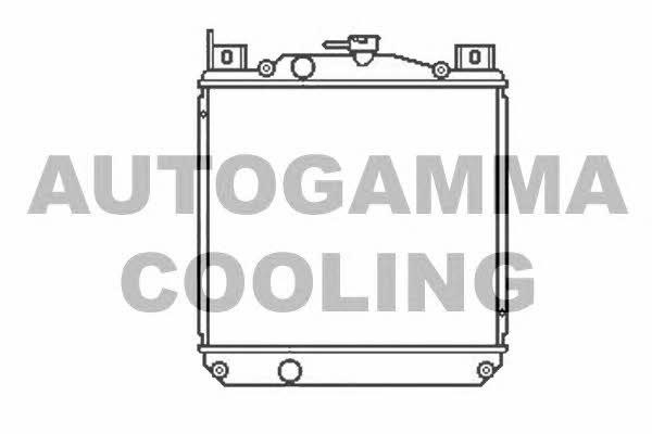 Autogamma 104160 Radiator, engine cooling 104160: Buy near me in Poland at 2407.PL - Good price!