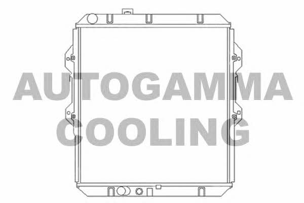 Autogamma 104163 Chłodnica, układ chłodzenia silnika 104163: Dobra cena w Polsce na 2407.PL - Kup Teraz!