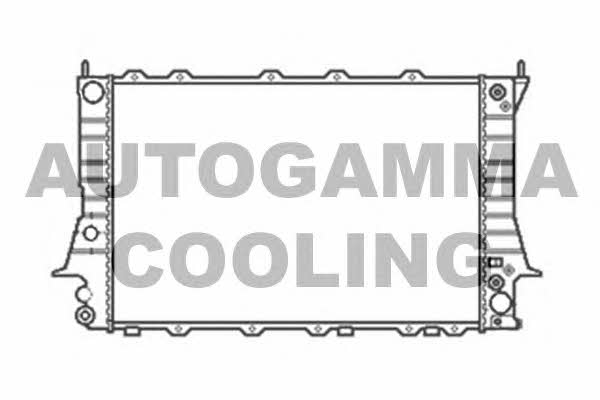 Autogamma 104166 Радіатор охолодження двигуна 104166: Купити у Польщі - Добра ціна на 2407.PL!