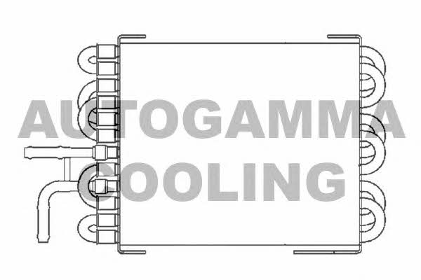 Autogamma 104177 Radiator, engine cooling 104177: Buy near me in Poland at 2407.PL - Good price!
