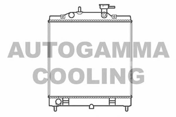 Autogamma 107227 Радиатор охлаждения двигателя 107227: Купить в Польше - Отличная цена на 2407.PL!