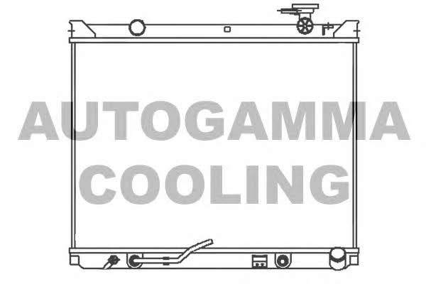 Autogamma 107329 Радиатор охлаждения двигателя 107329: Отличная цена - Купить в Польше на 2407.PL!