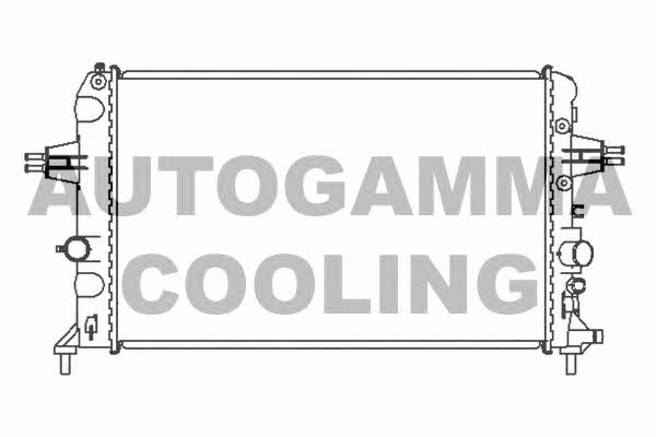 Autogamma 104300 Радіатор охолодження двигуна 104300: Купити у Польщі - Добра ціна на 2407.PL!