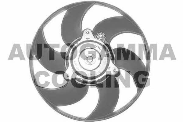 Autogamma GA201643 Hub, engine cooling fan wheel GA201643: Buy near me in Poland at 2407.PL - Good price!