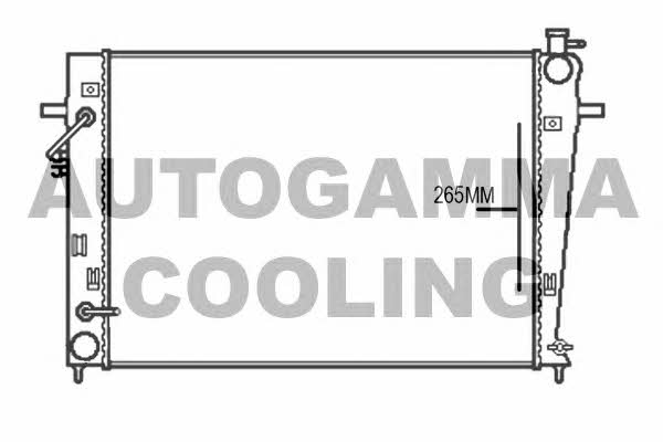 Autogamma 107376 Radiator, engine cooling 107376: Buy near me in Poland at 2407.PL - Good price!