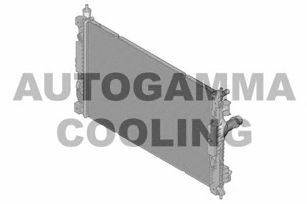 Autogamma 107396 Радиатор охлаждения двигателя 107396: Отличная цена - Купить в Польше на 2407.PL!