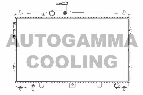 Autogamma 107391 Радіатор охолодження двигуна 107391: Приваблива ціна - Купити у Польщі на 2407.PL!