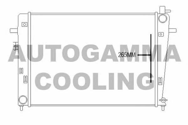 Autogamma 107375 Радиатор охлаждения двигателя 107375: Отличная цена - Купить в Польше на 2407.PL!