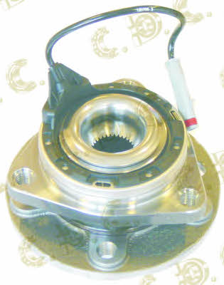 Autokit 01.97666 Wheel bearing kit 0197666: Buy near me in Poland at 2407.PL - Good price!