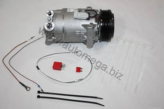 AutoMega 1068540098 Compressor, air conditioning 1068540098: Buy near me in Poland at 2407.PL - Good price!