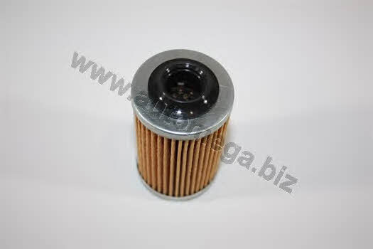 AutoMega 1256500363 Oil Filter 1256500363: Buy near me in Poland at 2407.PL - Good price!