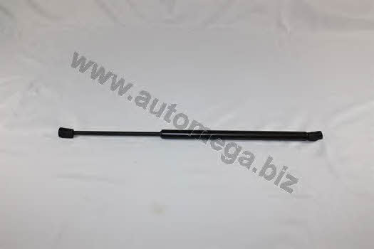 AutoMega 3001320703 Gas Spring, boot-/cargo area 3001320703: Buy near me in Poland at 2407.PL - Good price!