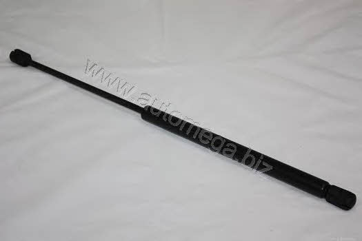 AutoMega 3001320715 Gas Spring, boot-/cargo area 3001320715: Buy near me in Poland at 2407.PL - Good price!