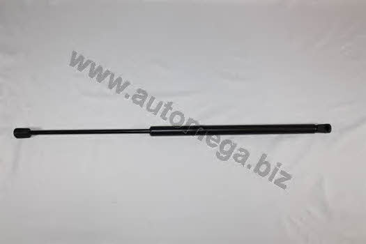 AutoMega 3001320725 Gas Spring, boot-/cargo area 3001320725: Buy near me in Poland at 2407.PL - Good price!