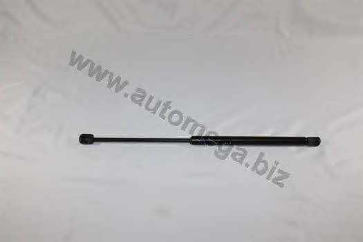 AutoMega 3001320749 Gas Spring, boot-/cargo area 3001320749: Buy near me in Poland at 2407.PL - Good price!