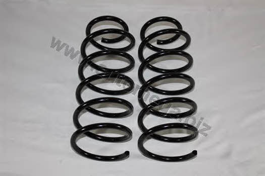 AutoMega 3003120049 Suspension spring front 3003120049: Buy near me in Poland at 2407.PL - Good price!