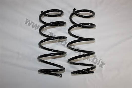 AutoMega 3003120102 Suspension spring front 3003120102: Buy near me at 2407.PL in Poland at an Affordable price!
