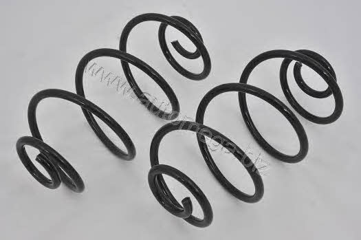 AutoMega 3004240029 Coil Spring 3004240029: Buy near me in Poland at 2407.PL - Good price!