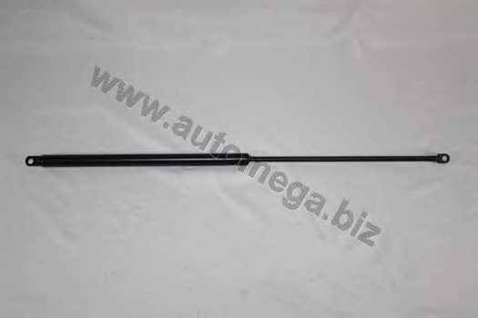 AutoMega 308270552893 Gas Spring, boot-/cargo area 308270552893: Buy near me in Poland at 2407.PL - Good price!