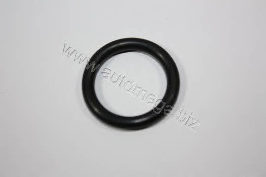 AutoMega 30N903016802 Ring sealing 30N903016802: Buy near me in Poland at 2407.PL - Good price!