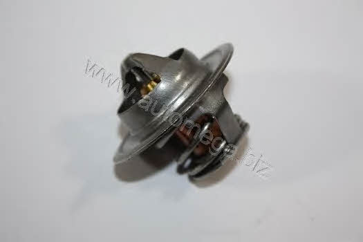 AutoMega 3013380052 Thermostat, coolant 3013380052: Buy near me in Poland at 2407.PL - Good price!