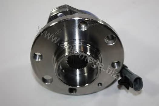 AutoMega 3016030209 Wheel hub 3016030209: Buy near me in Poland at 2407.PL - Good price!