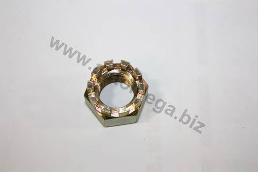 AutoMega 1003740011 Nut 1003740011: Buy near me in Poland at 2407.PL - Good price!