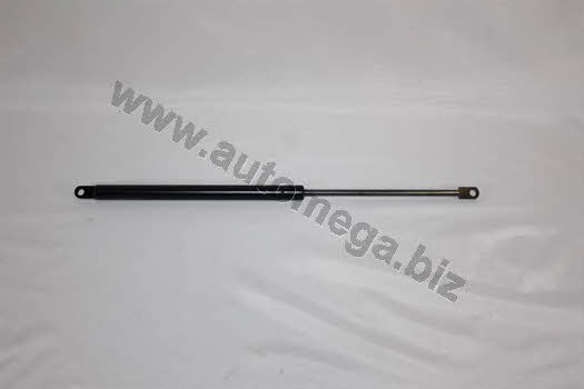 AutoMega 318230359443B Gas Spring, boot-/cargo area 318230359443B: Buy near me in Poland at 2407.PL - Good price!