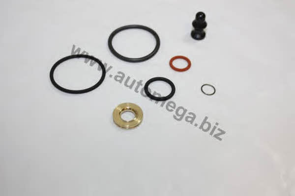 AutoMega 301980051038C Fuel injector repair kit 301980051038C: Buy near me in Poland at 2407.PL - Good price!