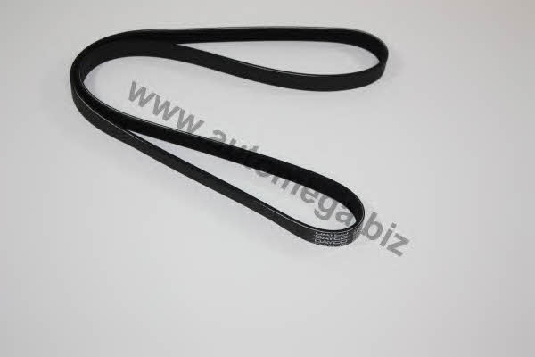 AutoMega 1013400054 V-Ribbed Belt 1013400054: Buy near me in Poland at 2407.PL - Good price!