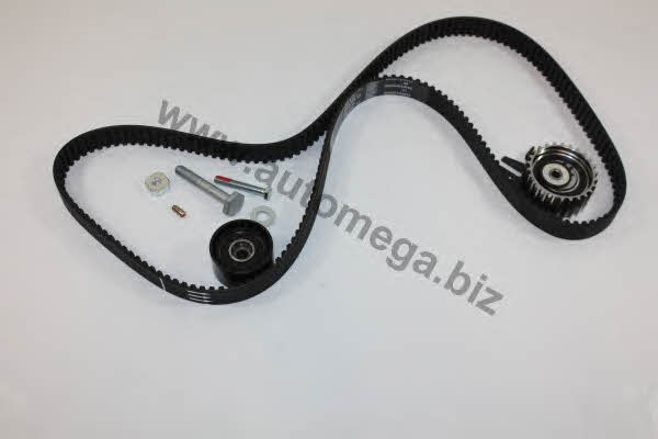 AutoMega 1016060434 Timing Belt Kit 1016060434: Buy near me in Poland at 2407.PL - Good price!