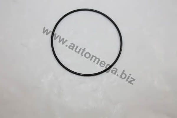 AutoMega 3006500742 OIL FILTER HOUSING GASKETS 3006500742: Buy near me in Poland at 2407.PL - Good price!