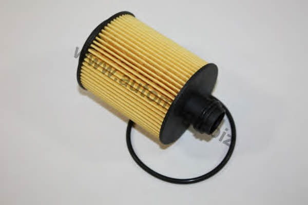 AutoMega 3006500181 Oil Filter 3006500181: Buy near me in Poland at 2407.PL - Good price!