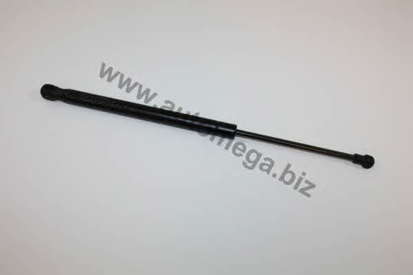 AutoMega 3082303591T0C Gas hood spring 3082303591T0C: Buy near me in Poland at 2407.PL - Good price!