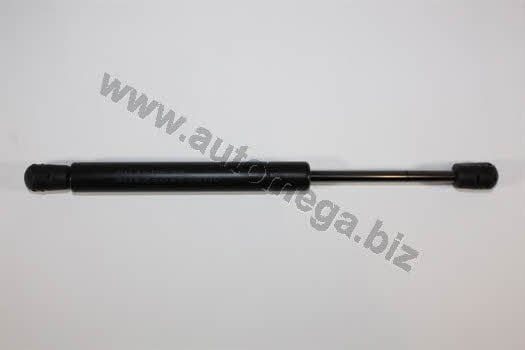 AutoMega 3082303598N0 Gas hood spring 3082303598N0: Buy near me in Poland at 2407.PL - Good price!