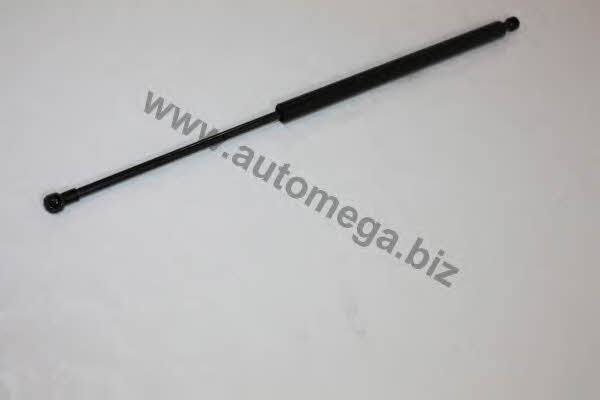 AutoMega 3082705528P3D Gas Spring, boot-/cargo area 3082705528P3D: Buy near me in Poland at 2407.PL - Good price!