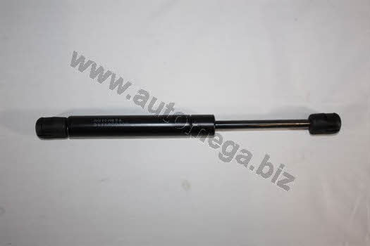 AutoMega 3111800402 Gas hood spring 3111800402: Buy near me in Poland at 2407.PL - Good price!