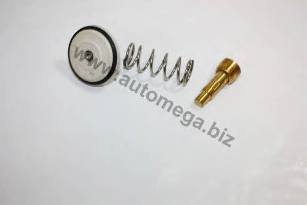 AutoMega 30121011003CA Thermostat, coolant 30121011003CA: Buy near me in Poland at 2407.PL - Good price!
