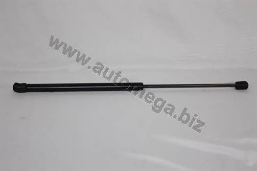 AutoMega 3082303591J0D Gas hood spring 3082303591J0D: Buy near me in Poland at 2407.PL - Good price!