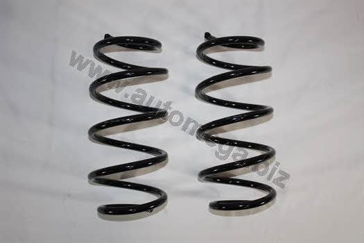 AutoMega 3003120158 Suspension spring front 3003120158: Buy near me in Poland at 2407.PL - Good price!