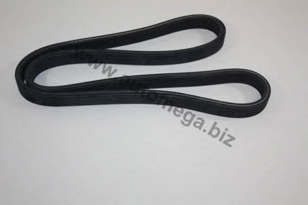 AutoMega 30701980536 V-Ribbed Belt 30701980536: Buy near me in Poland at 2407.PL - Good price!