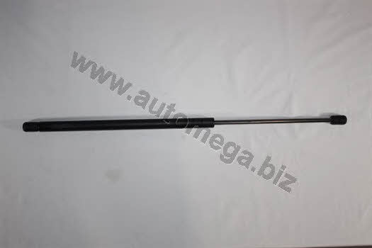 AutoMega 3101320725 Gas Spring, boot-/cargo area 3101320725: Buy near me in Poland at 2407.PL - Good price!