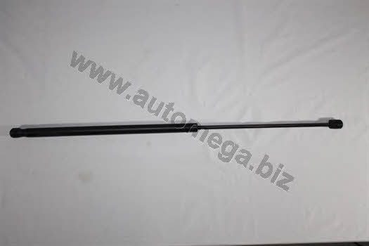 AutoMega 3111780224 Gas hood spring 3111780224: Buy near me in Poland at 2407.PL - Good price!