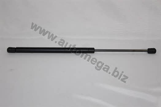 AutoMega 3082705505M0A Gas Spring, boot-/cargo area 3082705505M0A: Buy near me in Poland at 2407.PL - Good price!