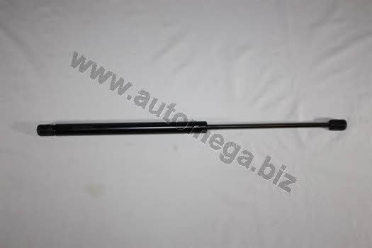 AutoMega 3101320757 Gas Spring, boot-/cargo area 3101320757: Buy near me in Poland at 2407.PL - Good price!